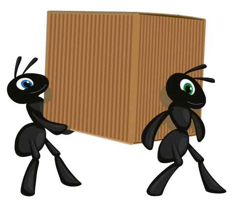 Ants on the go with Box