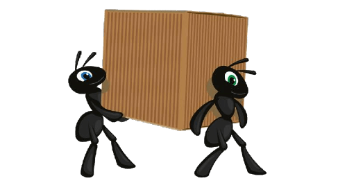 Ants on the go with a Box